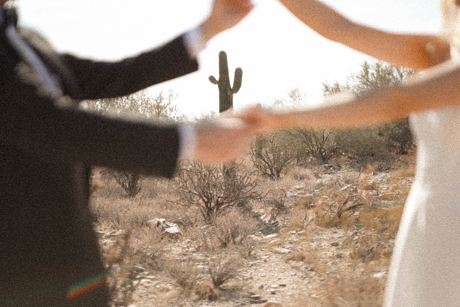 An artistic photo of the couple holding hands in the foreground with a desert cactus standing tall behind them.