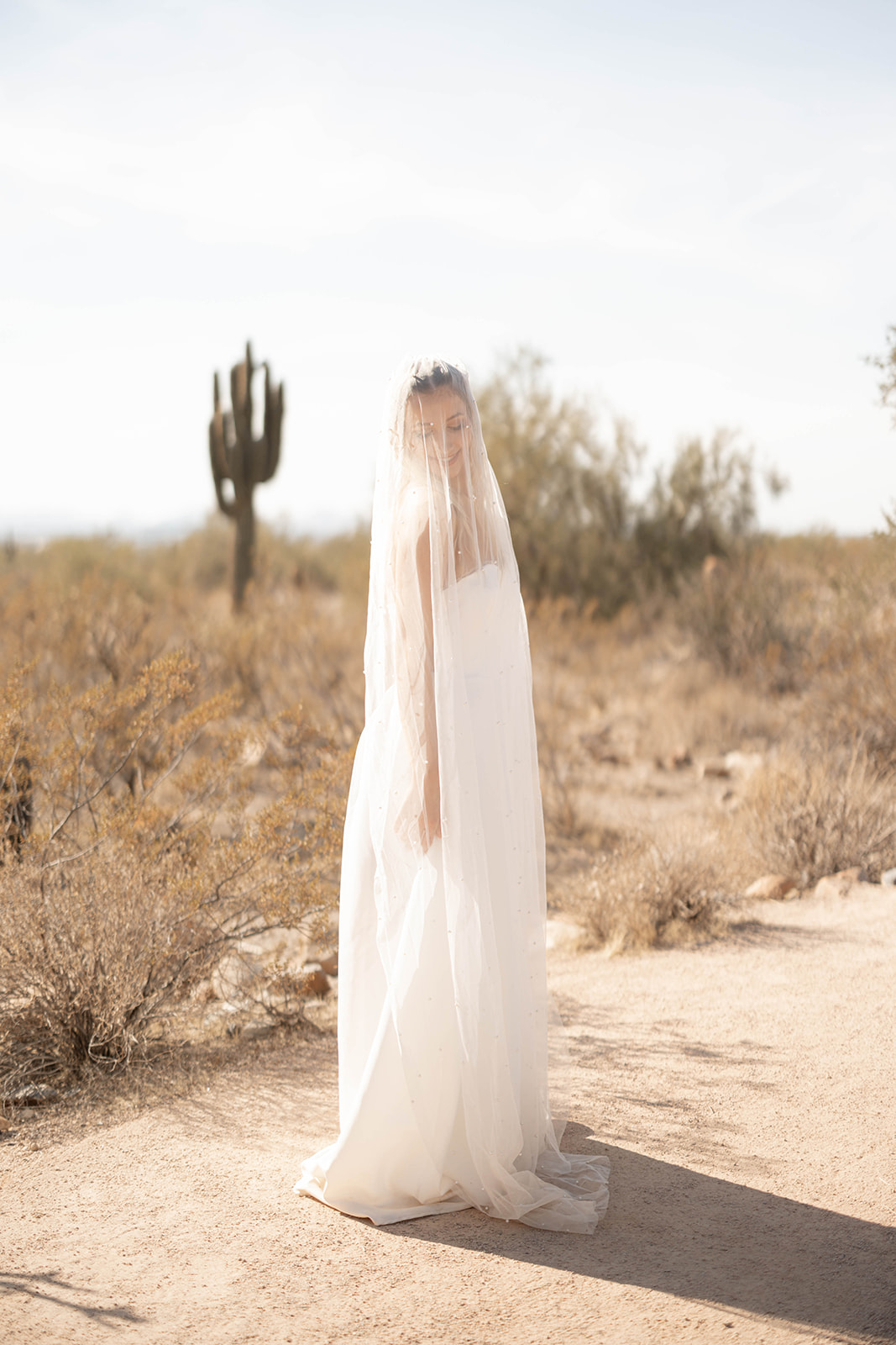 Bride stands alone in a sunlit desert landscape, draped in a sheer, pearl-dotted veil that covers her face and shoulders. A cactus and soft desert brush fill the background, creating a dreamy and serene atmosphere.