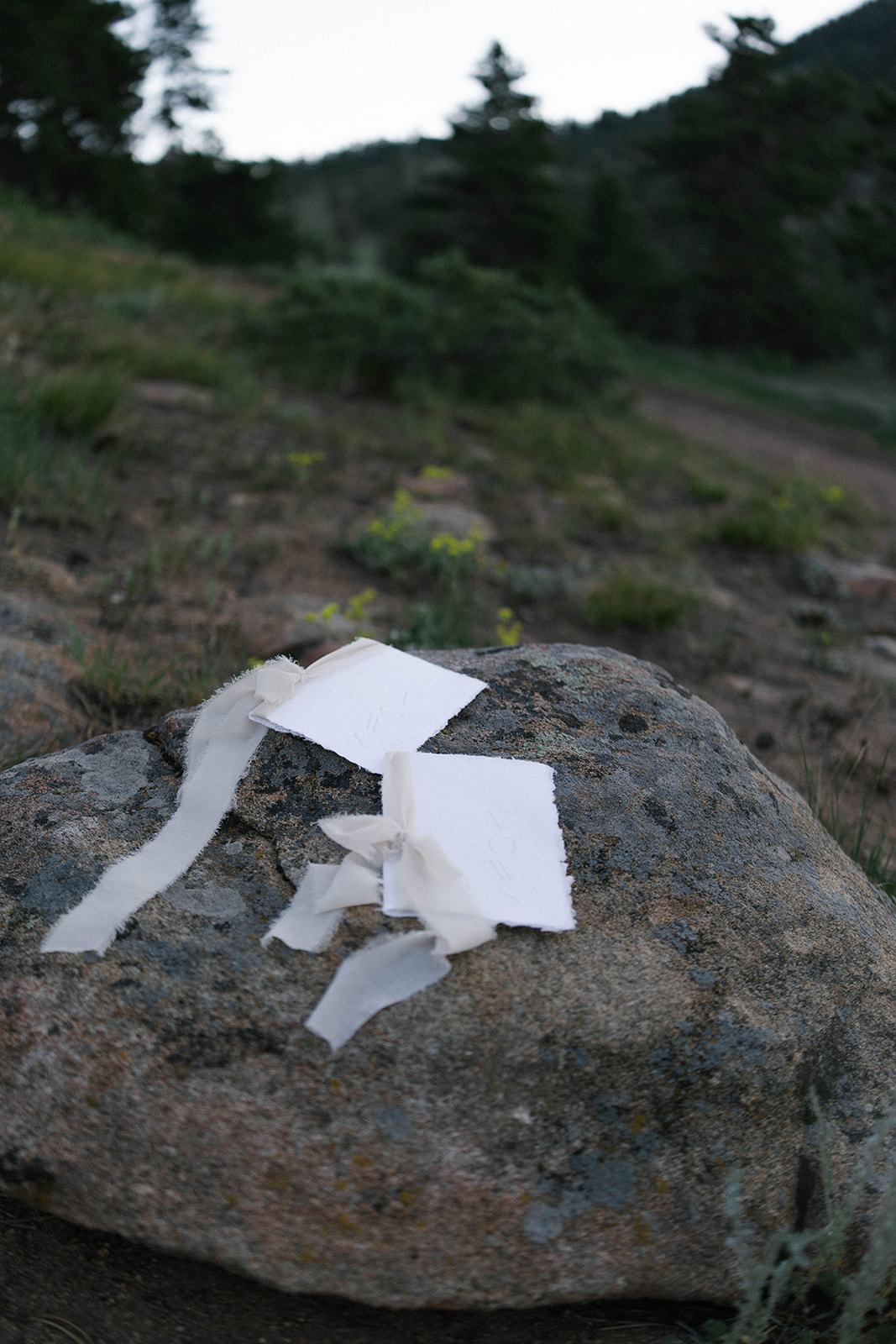 A pair of handwritten vow booklets with torn edges and silk ribbons rest on a stone, adding a delicate touch to the rugged terrain at this scenic Colorado elopement location.