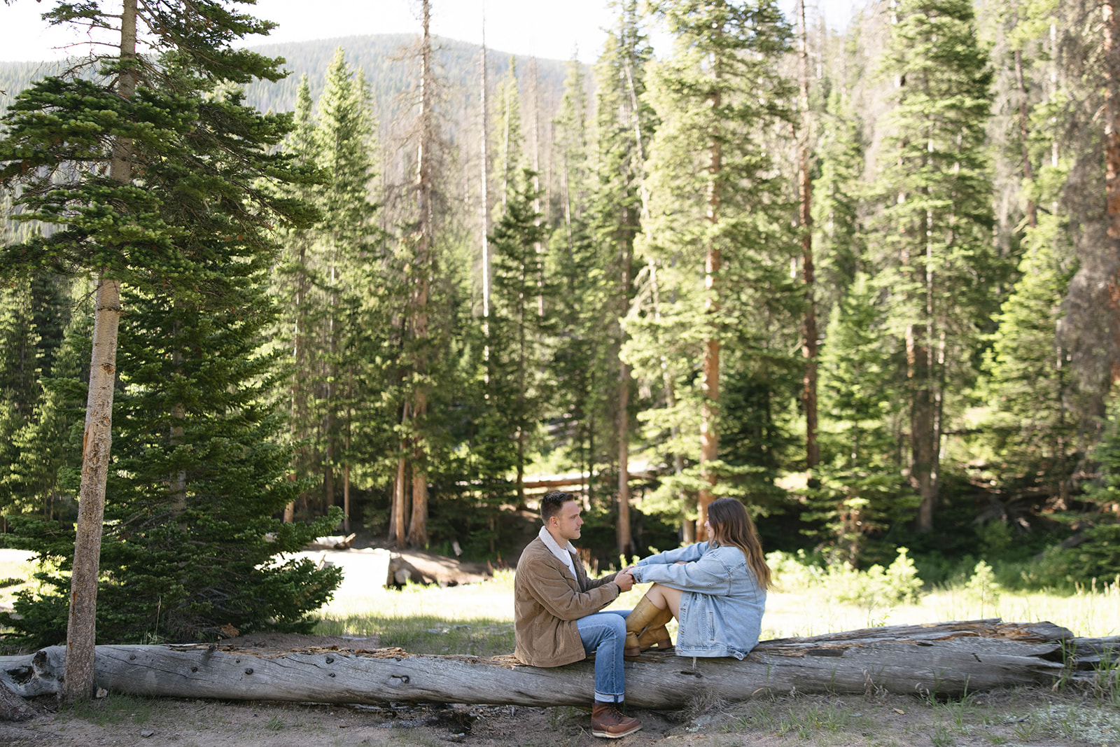 A wide shot of a couple holding hands while sitting on a log, surrounded by tall trees and mountain views.
