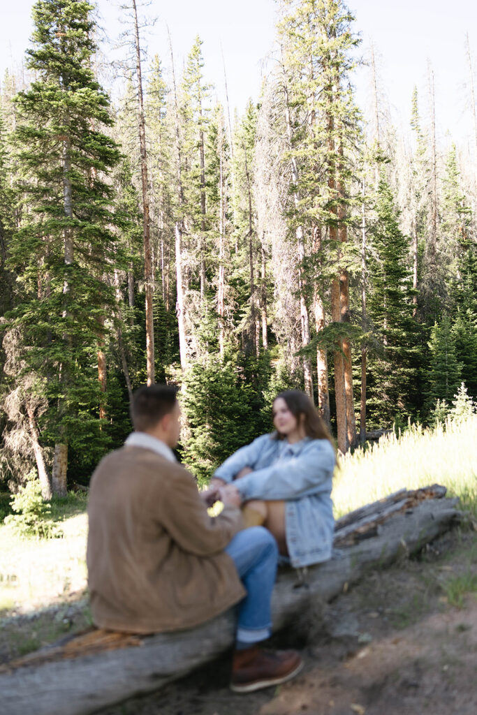 An artistic shot of a couple sitting on a log, the background of pine forest slightly blurred to emphasize their connection.