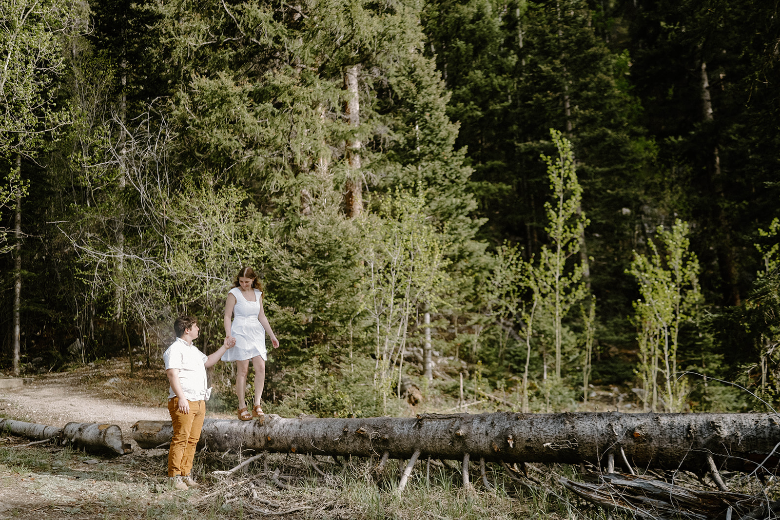 Woman in a white dress balancing on a fallen log while her partner holds her hand in Buena Vista, Colorado forest.