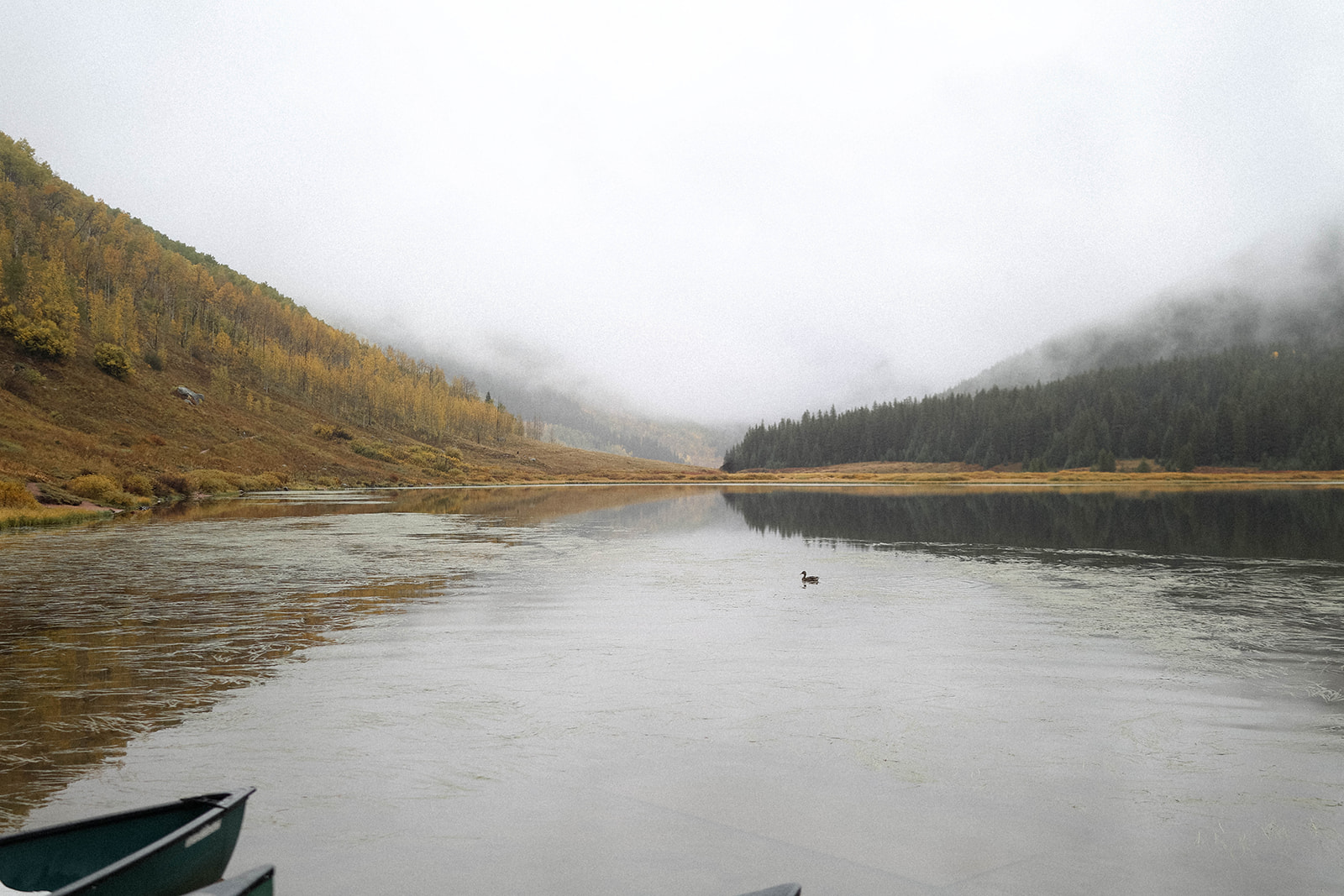 Golden aspens and dark pines line a quiet mountain lake under a thick layer of fog drifting through the valley.