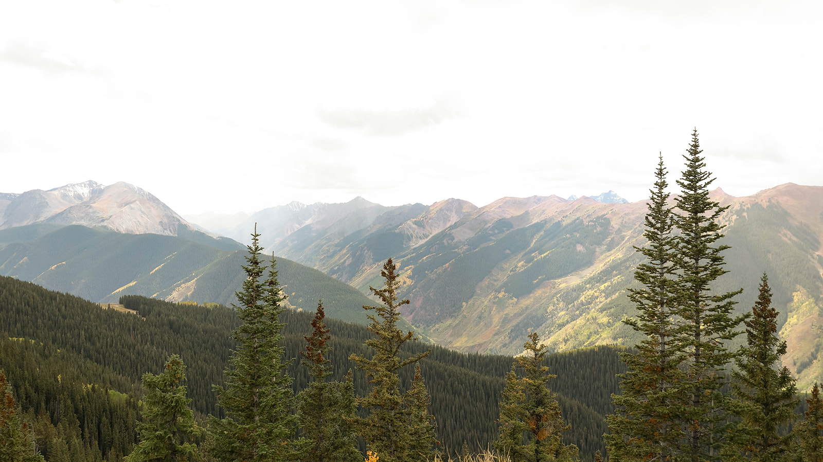 Wide landscape view of layered mountain ridges and evergreen trees in early fall light.