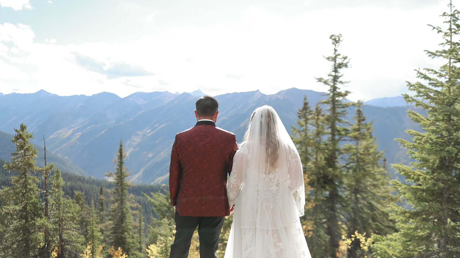 Bride and groom standing side by side from behind, holding hands and gazing out at layered mountain peaks and evergreen trees.