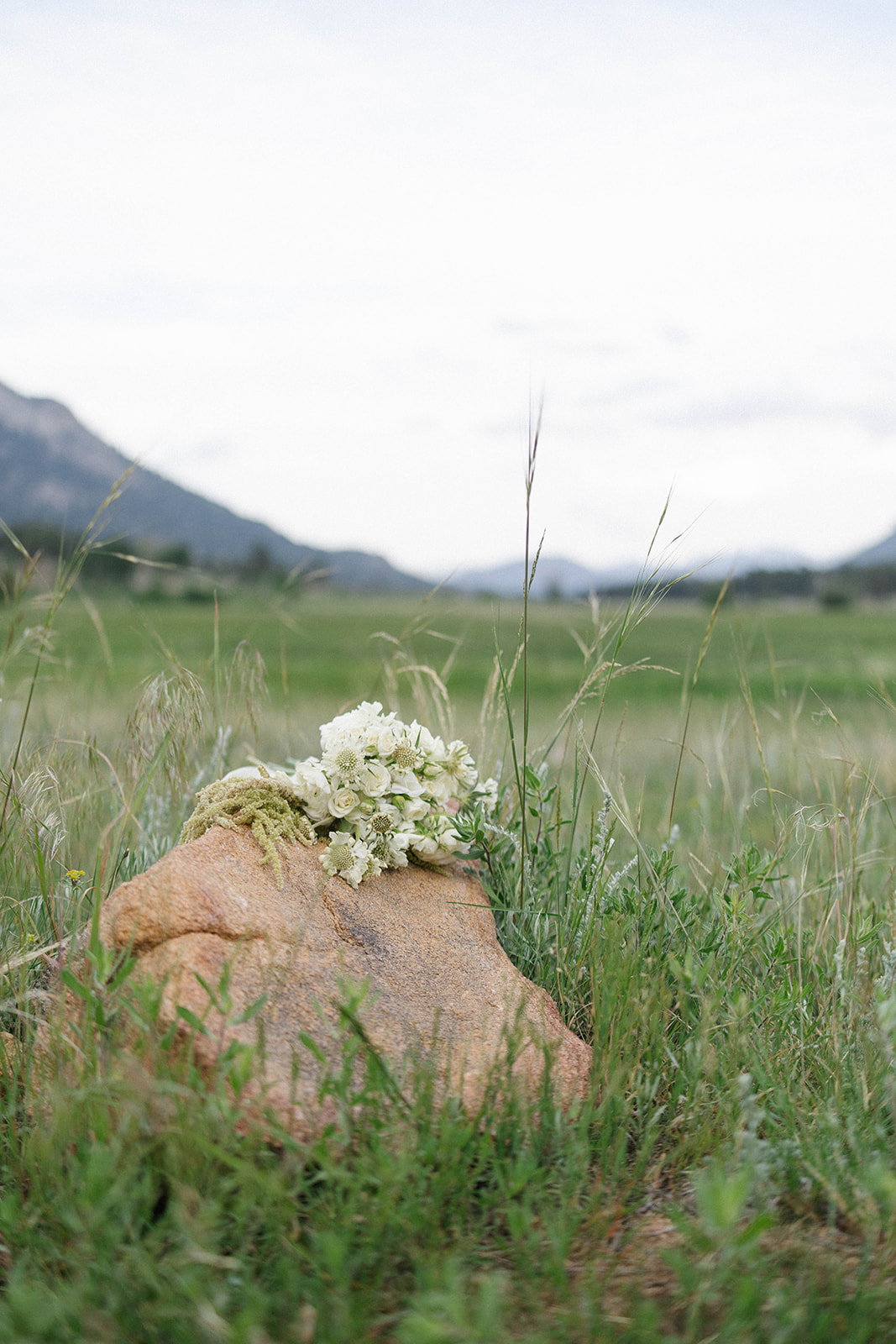 A white bridal bouquet rests on a large stone surrounded by tall grass with mountain views in the distance.